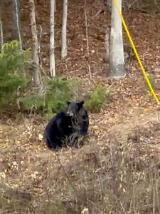 Christopher Dale Kilby on Reels | Facebook