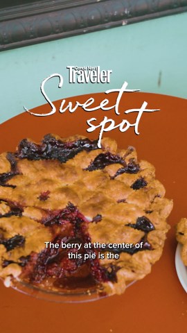 Making Portland's Best Marionberry Pie