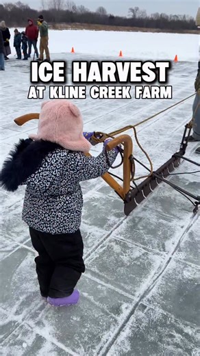 🧊Live a real-life scene from the Frozen movie by channeling your inner Kristoff! The Ice Harvest is happening all weekend at Kline Creek Farm and it was seriously cool. 🐝Looking for more unique activities in the Chicago suburbs? Follow along @BusyBeeBurbs! Help harvest giant blocks of ice the old-fashioned way, just like DuPage County dairy farmers did in the 1890s. Bundle up, hike out to the pond, and cut those ice blocks that will be used to make ice cream this summer!🍦 ➡️This is not a kids