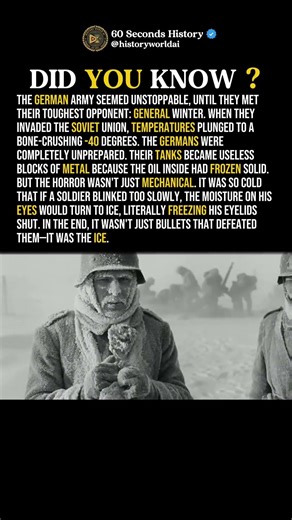 How -40° Defeated the German Army #history #ww2