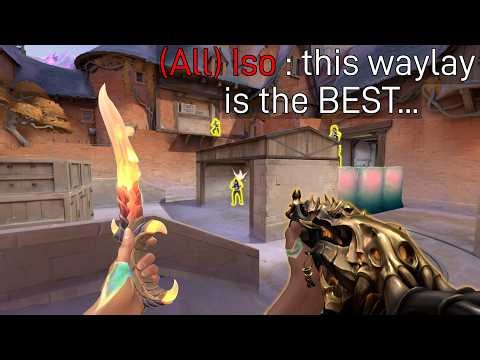 What 500 hours of Waylay looks like.