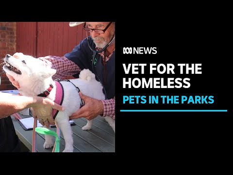 Record demand at free vet for pet owners experiencing homelessness | ABC News