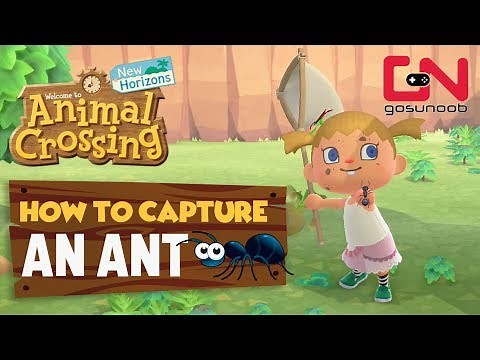 How to Catch an Ant - Animal Crossing New Horizons