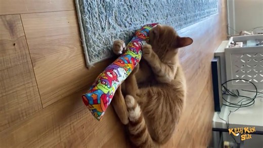 389 reactions · 13 comments |  New Fabrics Released.  Packed with 100% Organic Catnip. Get your cat kickin' @ www.KittyKickStix.com | Kitty Kick Stix - Catnip toy | Facebook