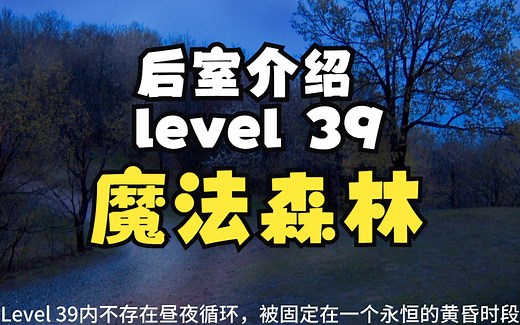 【Backrooms 后室】level 39 魔法森林【介绍】
