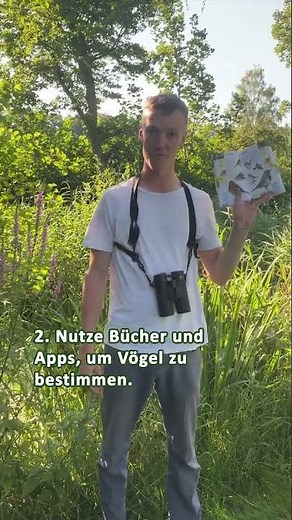 Let's go bird watching!