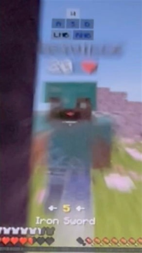 Minecraft Realistic pvp