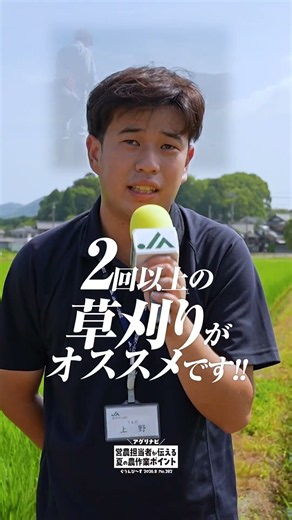 カメムシ対策編｜アグリナビ｜2026年8月号ぐりんぴ〜す #jaグリーン近江 #水稲 #カメムシ #病害虫対策 #草刈り