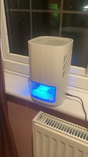 Mini dehumidifier review - Pro Breeze - budget friendly Amazon purchase for solving damp and mould