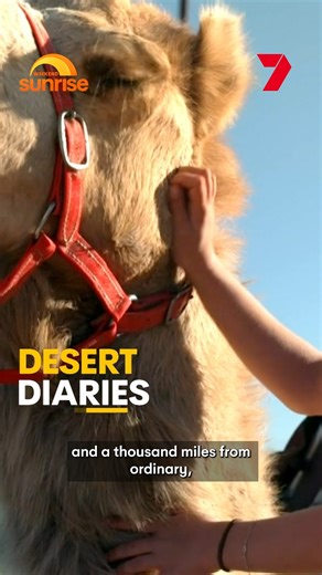 11K views · 42 reactions | Tune into Weekend Sunrise tomorrow for half-priced meals, Australia's glam squad, and desert diaries. WATCH WEEKEND SUNRISE FOR MORE | @7plus ☀️ | Sunrise | Facebook