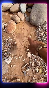 Unbelievable Insect Metamorphosis: Nature’s Greatest Makeovers! #Insects #NatureDiscovery #Wildlife | Wildlife Animals | Facebook