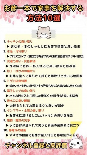 お酢一本で家事を解決する方法10選