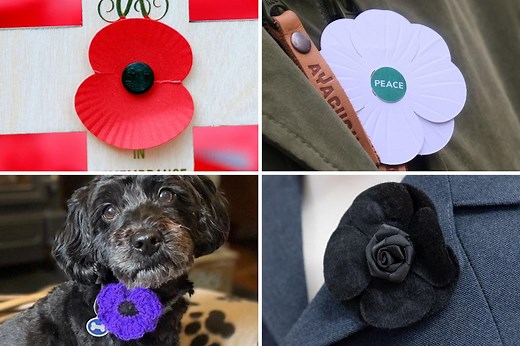 What do the different coloured poppies mean?