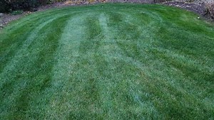 Professional Lawn Care Services Near Ravenna, OH