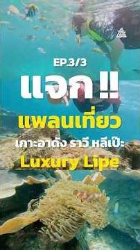 เที่ยวเกาะหลีเป๊ะ อาดัง ราวี แบบ Luxury 4 วัน 3 คืน แจกแพลนที่พักและจุดดำน้ำ Ep.3/3 #Lipe #ThaiStyle