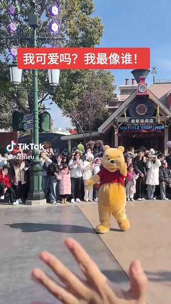 可爱的维尼熊：你最像谁？
