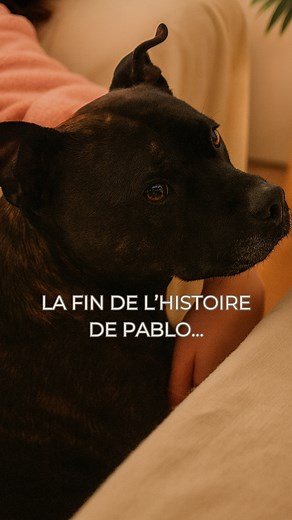 329K views · 8.5K reactions | FIN DE L’HISTOIRE DE PABLO  Après...