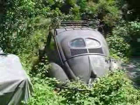 VW Split window