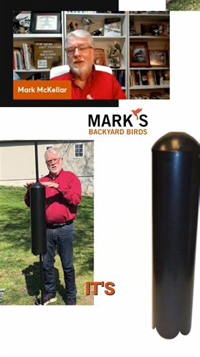 Raccoon baffles have kept bird feeders safe for over 20 years. Install baffles correctly: suspend using the collar, not on the ground. Raccoons can bypass ground-level baffles. Suspension makes it very difficult for them to climb. It has worked for us! #RaccoonBaffle #BirdFeeder #WildlifeControl #BackyardBirds #BirdFeeding | Backyard Bird Center