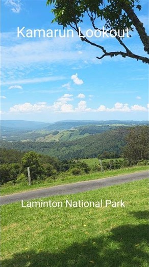 Kamarun Lookout | Lamington National Park #shorts #viralvideos