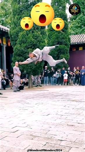 ✨‼️Kung Fu Display‼️✨ | #MartialArts #BruceLee #FlyingKick #ShaolinMonks #sShaolinKungFuChina #Monk