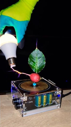 🤯 Electricity vs Radish, What is next? #experiment #teslacoil #vegetables #physics