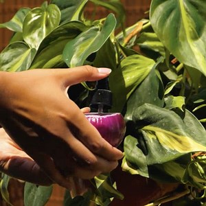 272K views · 641 reactions | Genius tips for a thriving garden! | 5-Minute MAGIC | Facebook