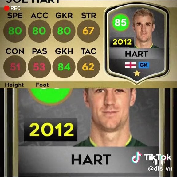 Joe Hart's Best Moments in Dream League Soccer 2012