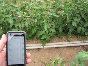 Plant Sap Analysis Technology to Better Meet Crop Needs