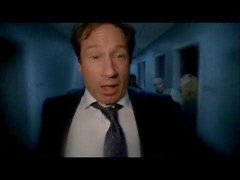 Mulder and mushrooms