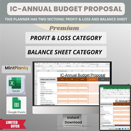 Annual Budget Proposal Template Excel | Google Sheets | Operating Budget, P.L | Balance Sheet Non Profits | Small Businesses - Etsy