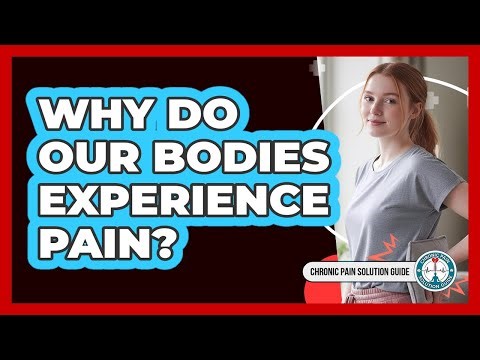 Why Do Our Bodies Experience Pain?