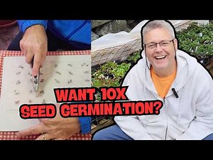 Cold Stratification Made Simple (Stop Wasting Seeds!)