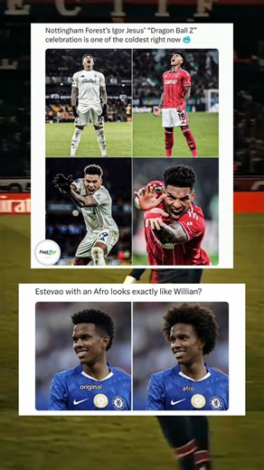 Foot Fly on Instagram: "This celebration is 🥶 . . . . #footballfamily #footballvideos #footballmemes #footballedits #chelsea #premierleague #football"