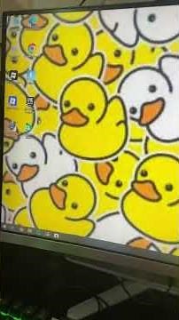 Cómo poner un fondo de pantalla en PC