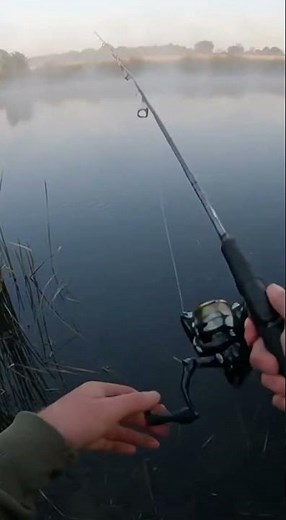 The BIGGEST Carp Ever Caught In The World! 🤯