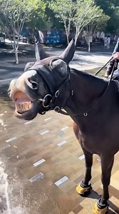 Living his best life! | News.com.au