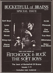 Robyn Hitchcock And Peter Buck / The Soft Boys - Flesh No.1 / Deck Of Cards