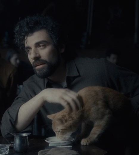Purr-fection in the collection! 😻 ⚡ Shop all your feline faves for 50% OFF at criterion.com! | The Criterion Collection