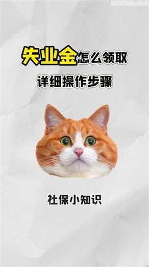 失业金怎么领取，详细操作步骤 #社保 #失业金 #失业