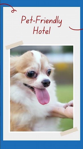 Motel 6 Salina, Kansas Hotel Amenities | Pet Friendly Hotels in salina ks