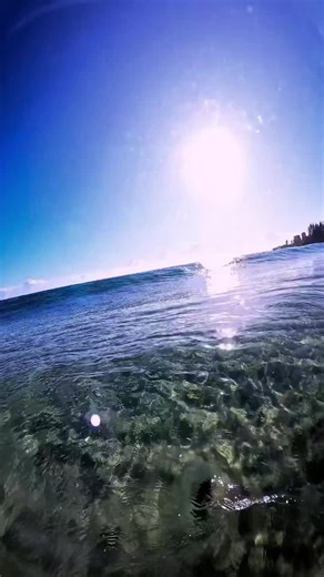Calming Nature Moments Captured with GoPro