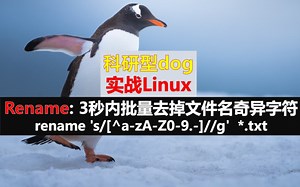 实战Linux - rename指令 - 3秒去掉一万个文件名中乱七八糟的字符