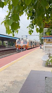 9.7K views · 68 reactions | Classic Look New Vajra Emu Local | Indian life lines | Facebook