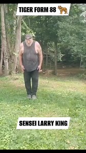 COMBAT KOREAN KARATE TIGER FORM 88  DEMONSTRATED BY LARRY KING | Larry King | Facebook
