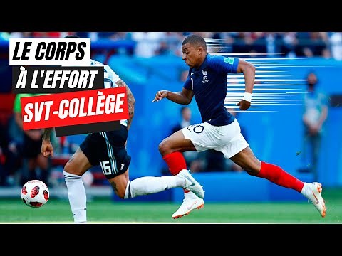 How the body functions during muscular effort - SVT Collège