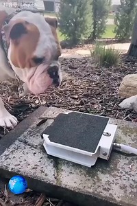 22K views · 100 reactions | Good technology and great skills | Egyptian Museum | Facebook