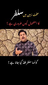 Sulphur application benefits in clayey heavy soils | Abid Ali Agrarian #sulphur #clayeysoil #wheatfertilizer #abidaliagrarian | Abid Ali Agrarian