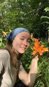 Day lilies are a great edible wildflower! #foraging #ediblewildplants