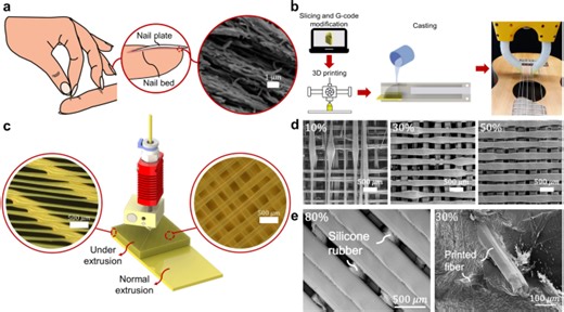 Bio-inspired 3D printing approach for bonding soft and rigid materials through underextrusion - Scientific Reports